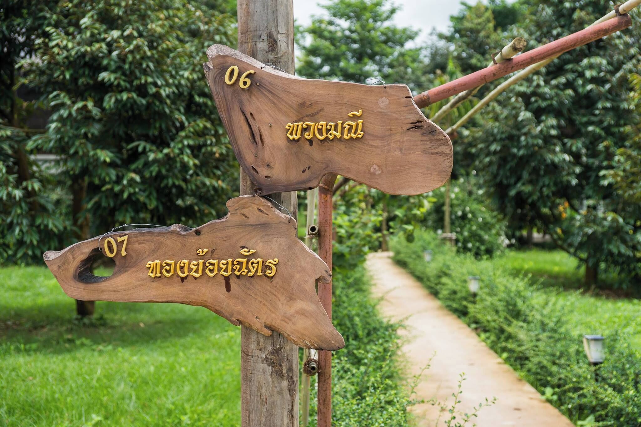 Two wooden directional signs with numbers 06 and 07, mounted on a pole.