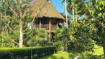 TV màn hình phẳng