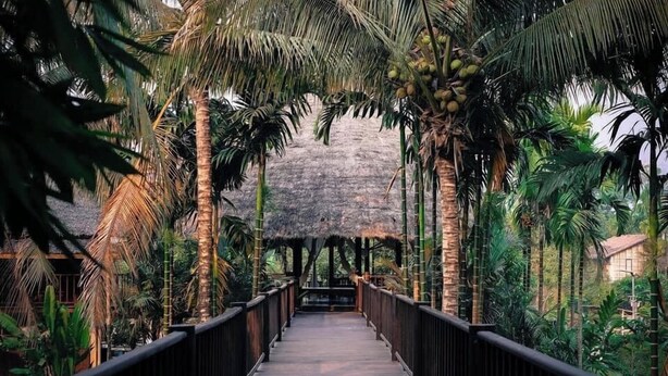 Een houten brug met een rieten dakconstructie op de achtergrond, omgeven door palmbomen en groen.