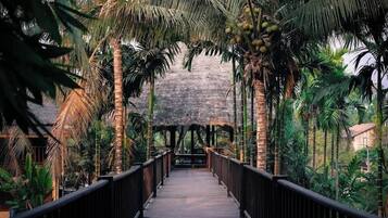 TV màn hình phẳng