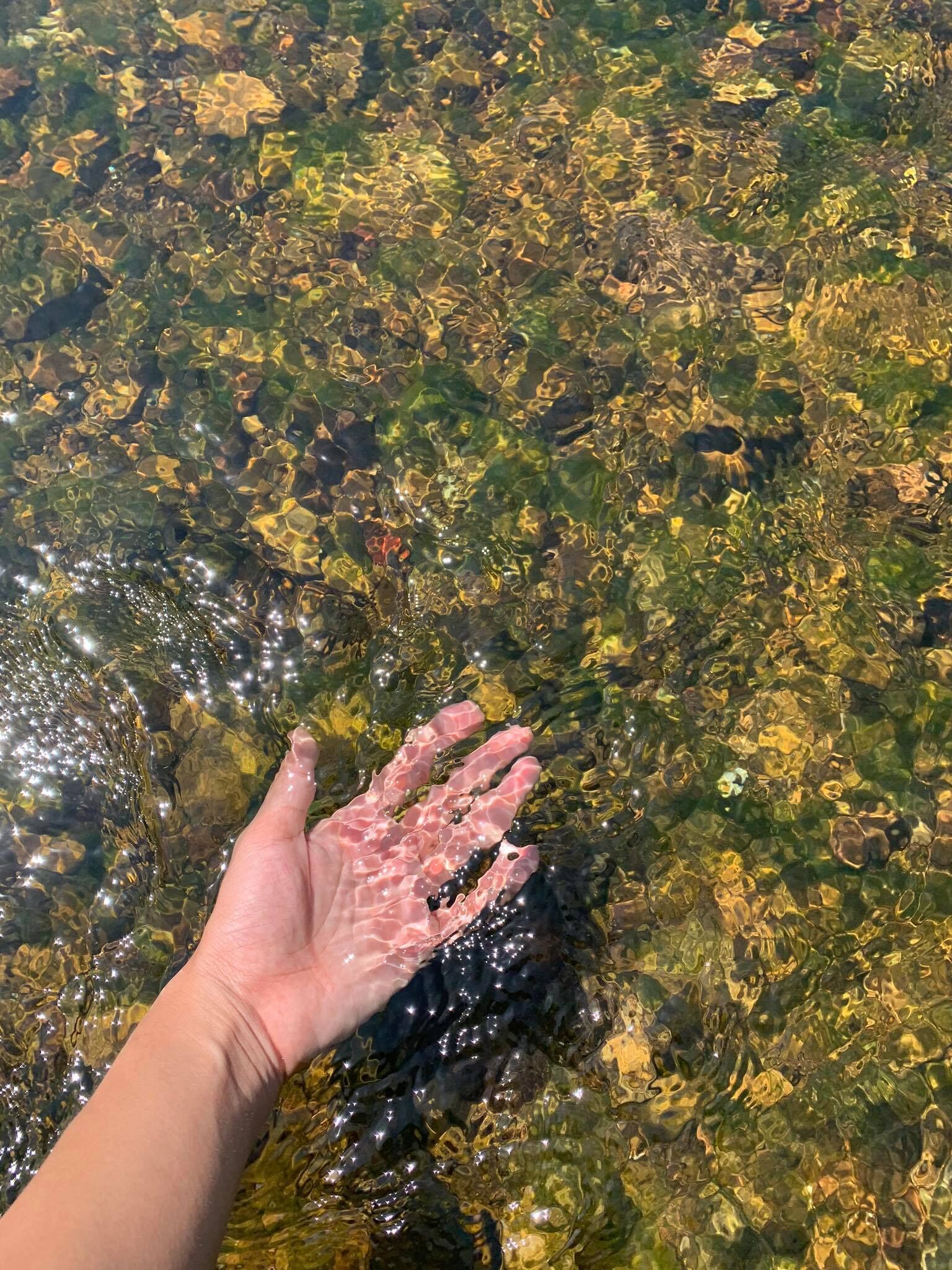 Una mano sumergida en agua cristalina con rocas y hojas a la vista.