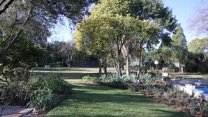 View from property - Private Cottages (Sandton)