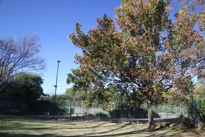 Tennis court - Private Cottages (Sandton)