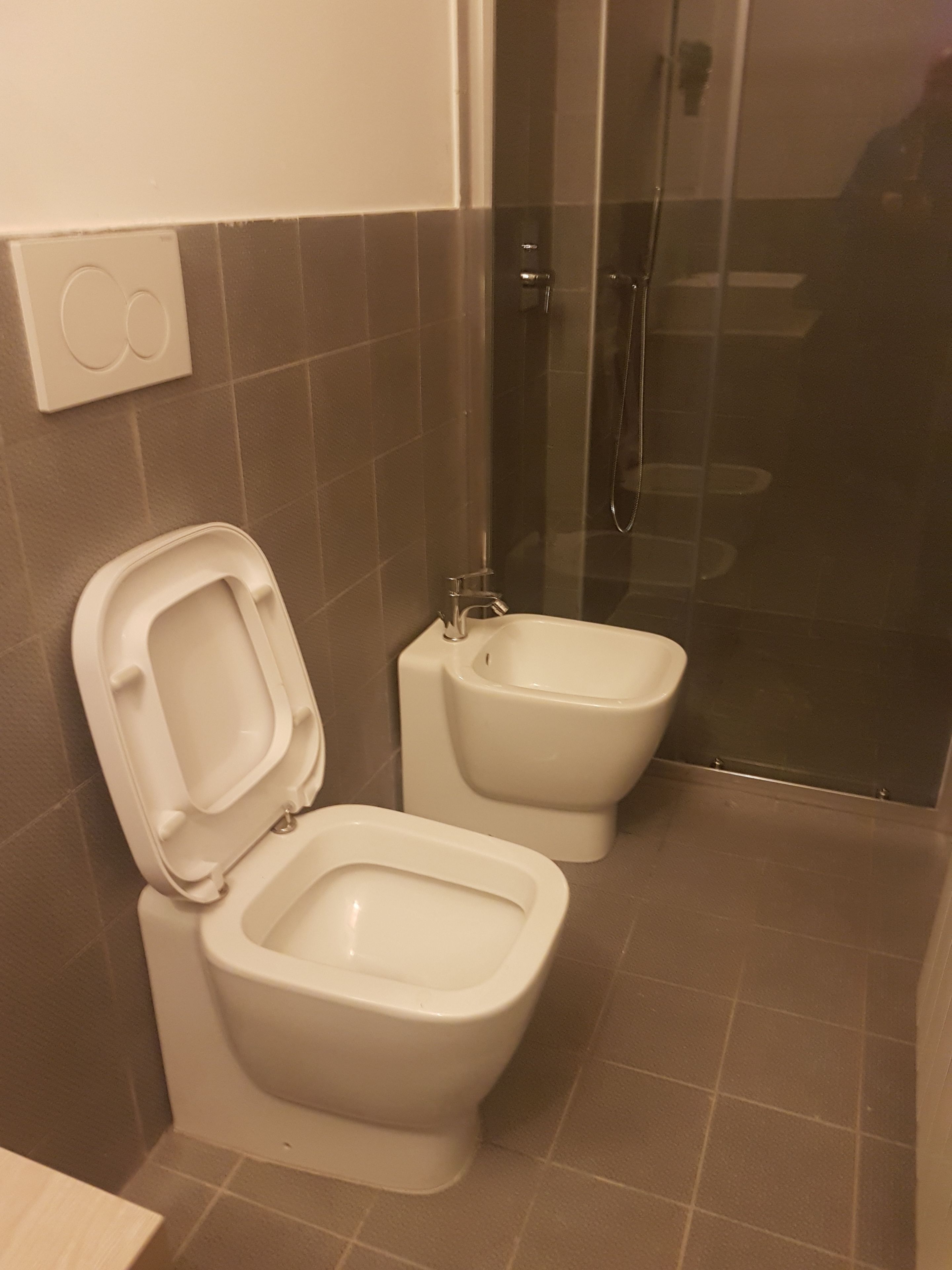 A bathroom with two toilets, a shower, and a glass-enclosed shower area.