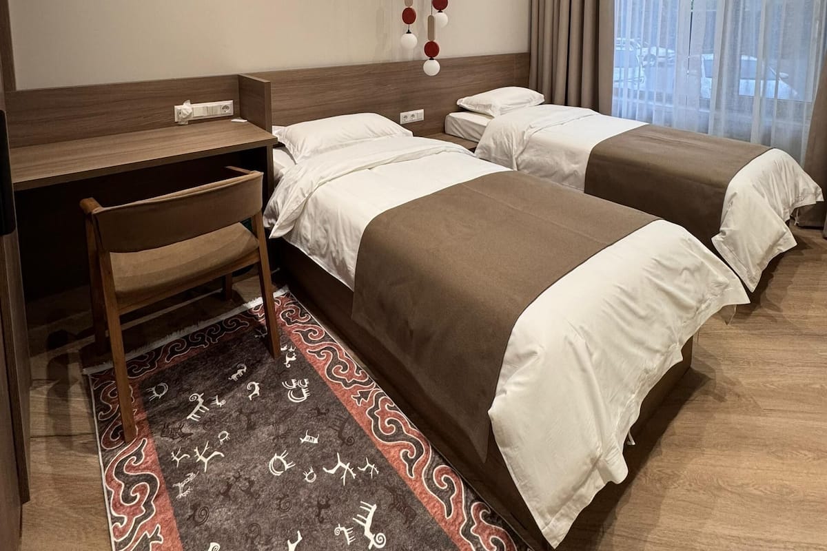 Habitación de hotel con dos camas, un escritorio, una silla, un tapete estampado y un equipo de aire acondicionado.