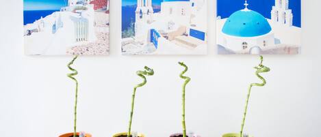 Tres plantas en macetas con tallos de bambú en macetas naranja, amarilla y rosa, dispuestas sobre una superficie de madera.