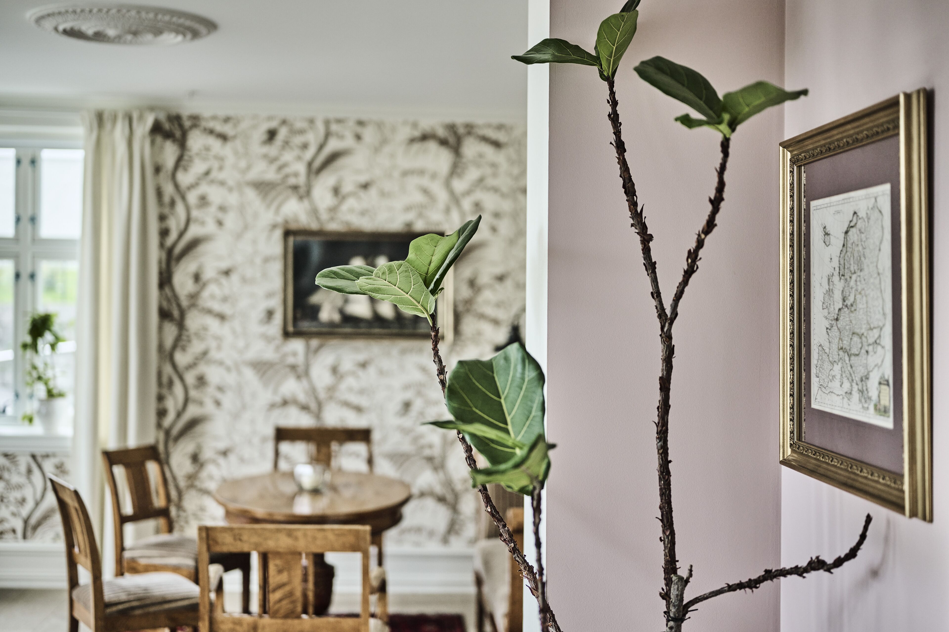 A dining area with a round table and chairs, a wall with a framed artwork, and a plant with green leaves.
