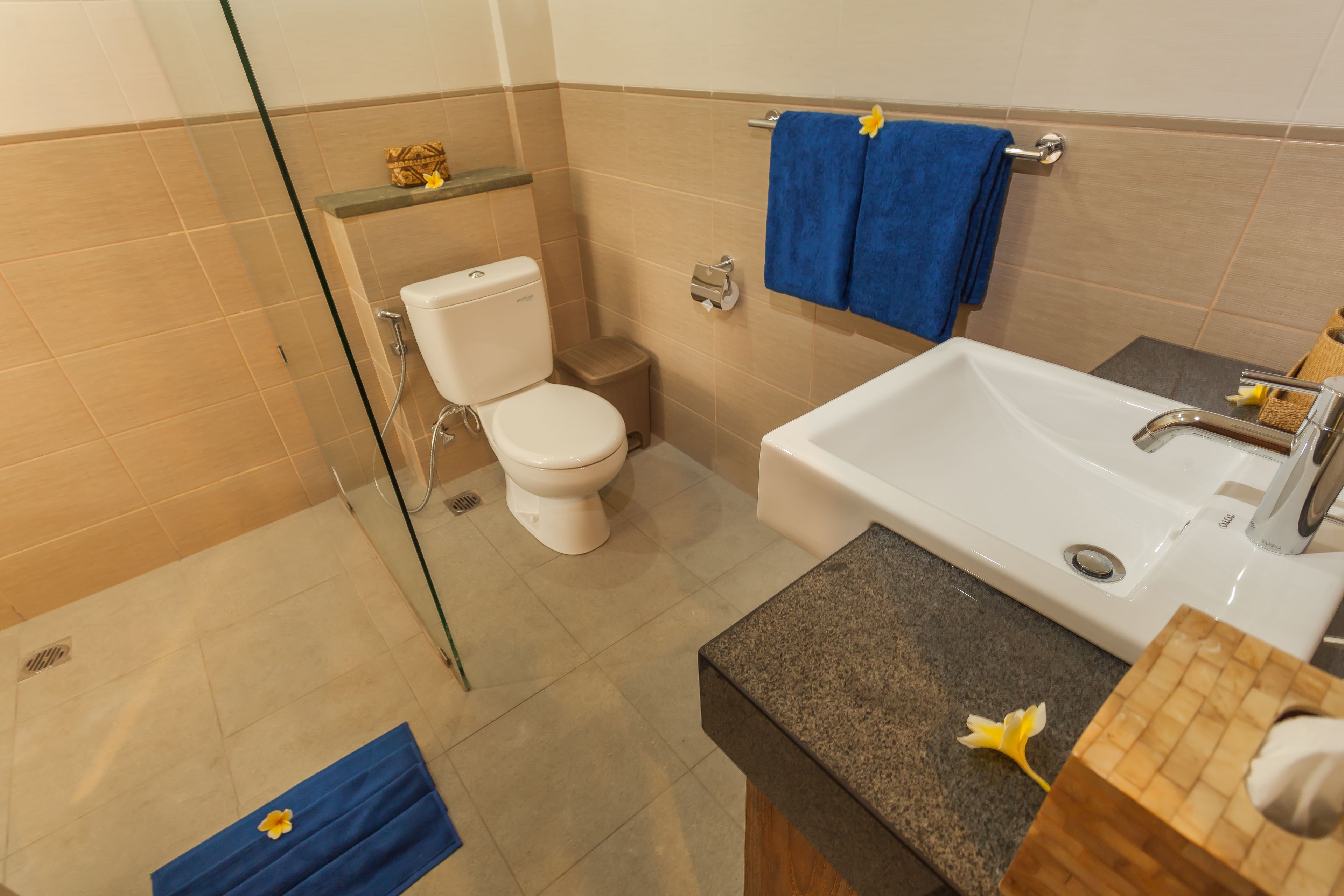 shower, free toiletries, hair dryer, slippers