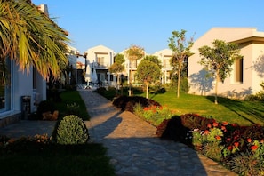 Jardí