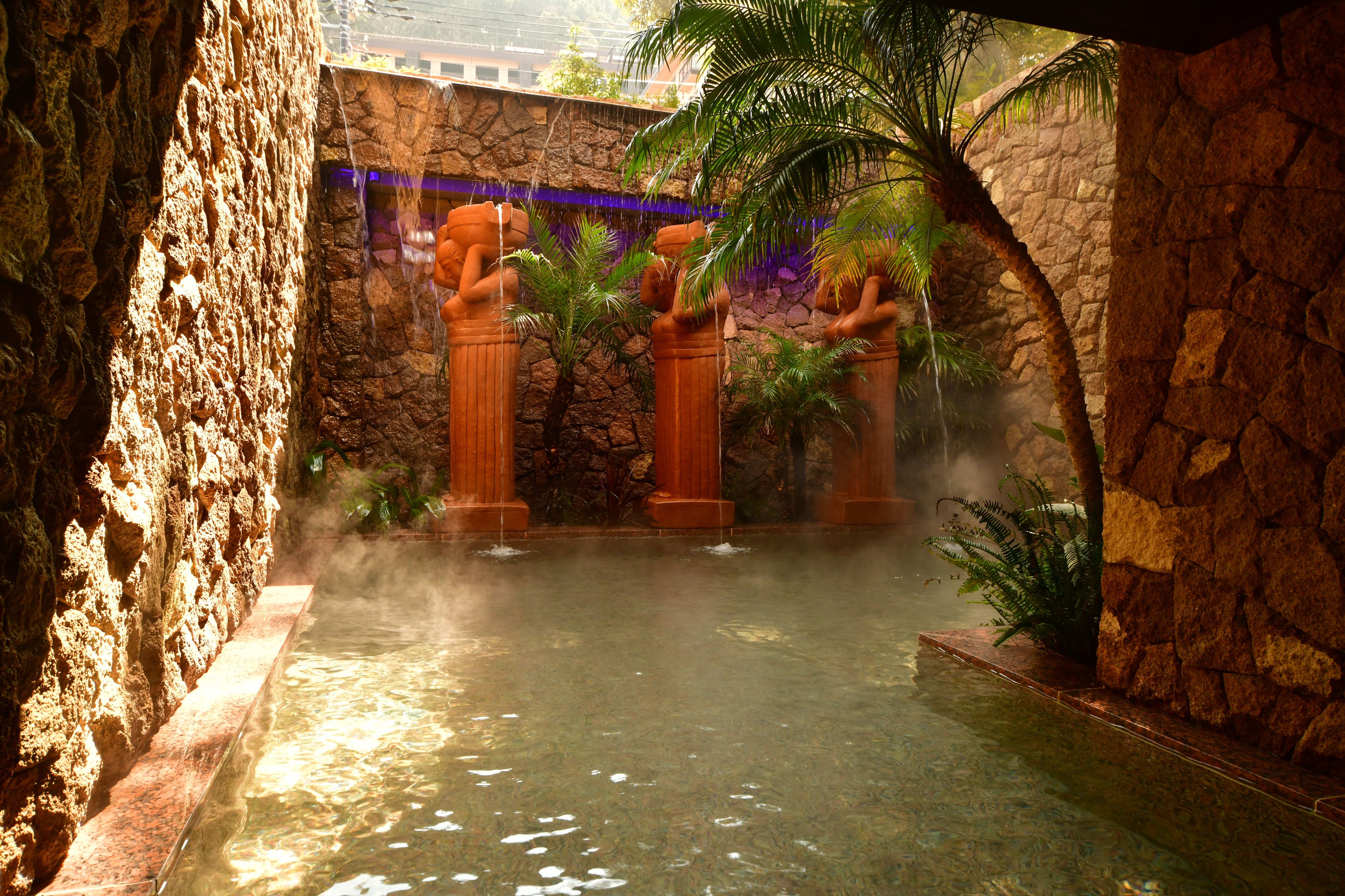 A spa area with a stone wall, a water feature, and a palm tree.