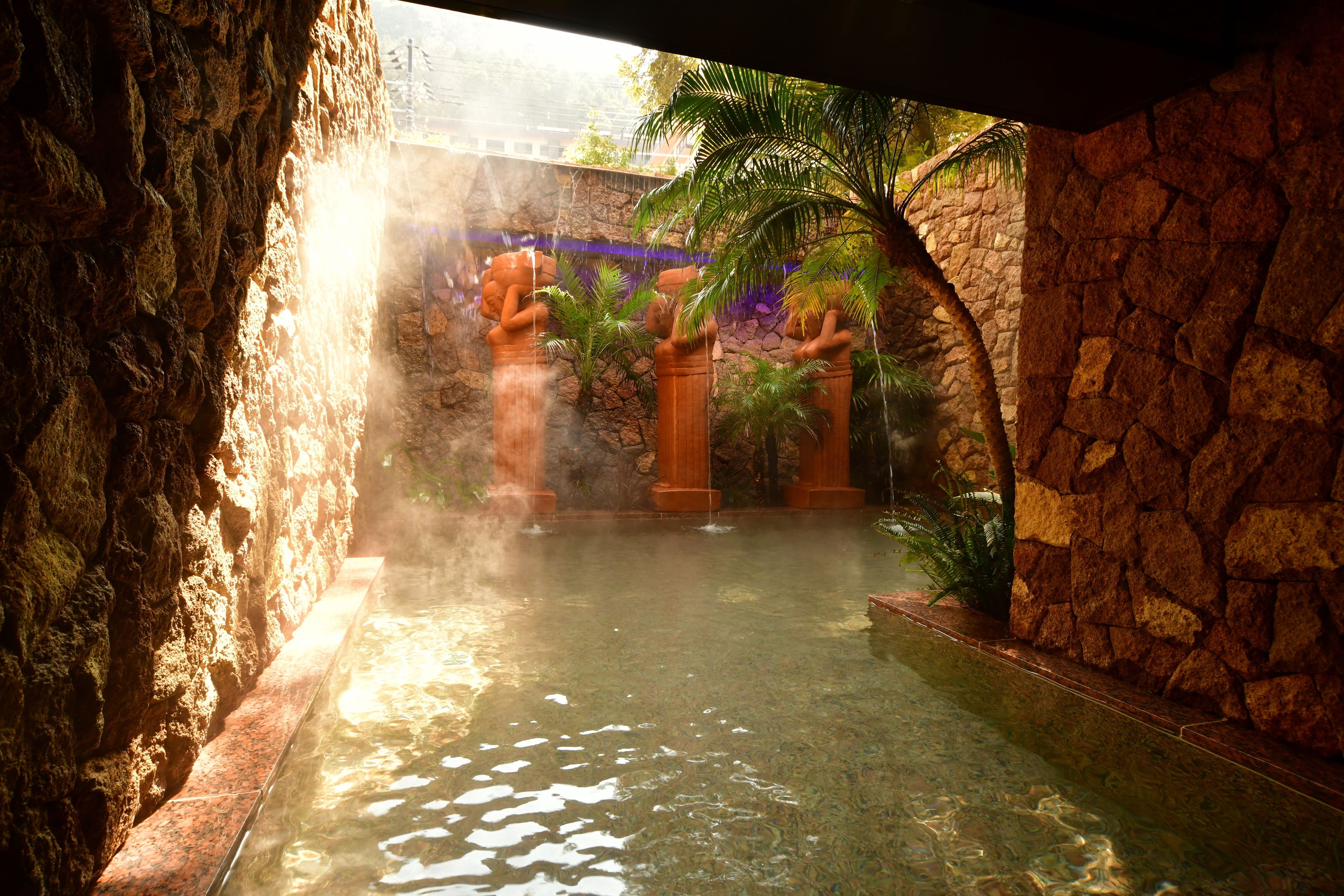 A spa area with a stone wall, a water feature, and a palm tree.