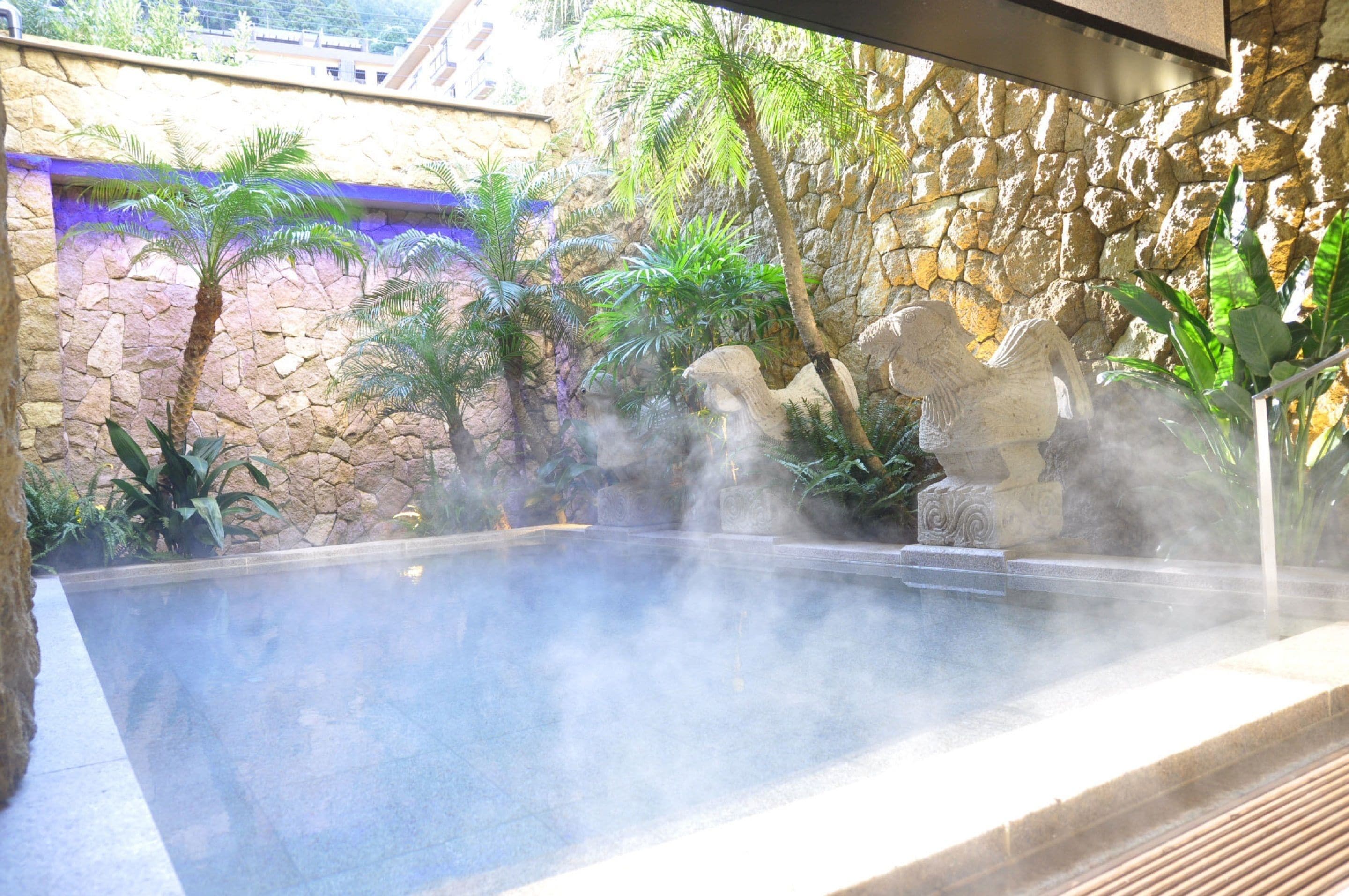 A hot spring area with a stone wall, palm trees, and steam rising from the water.