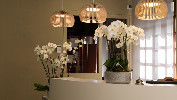 Un mostrador de recepción con una orquídea en maceta, un espejo y tres lámparas colgantes.