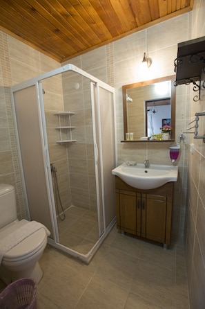 Shower, free toiletries, hair dryer, towels
