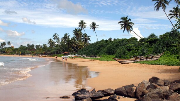 A beach with palm trees, a wooden boat, and a rocky shoreline. - Villa De Rosh (Negombo)