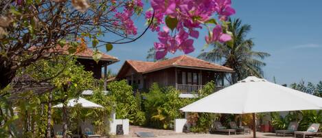 A pool area with lounge chairs and umbrellas, surrounded by lush greenery and a house with a tiled roof.