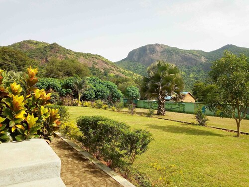 Green Oasis Guest House and Tours