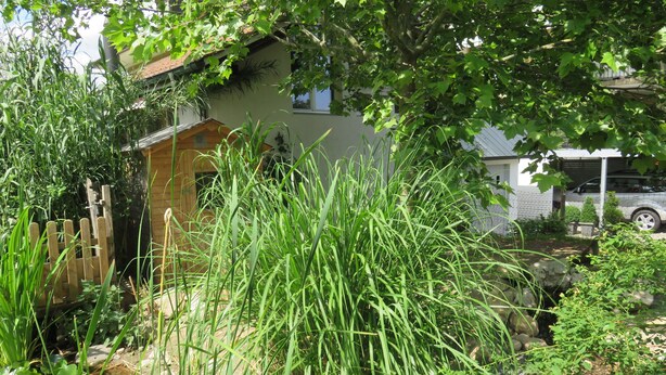 Ein Garten mit Holzzaun, einer kleinen Gartenhütte und verschiedenen Pflanzen.