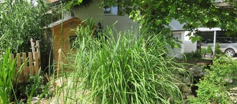 Bed & Breakfast Erlach