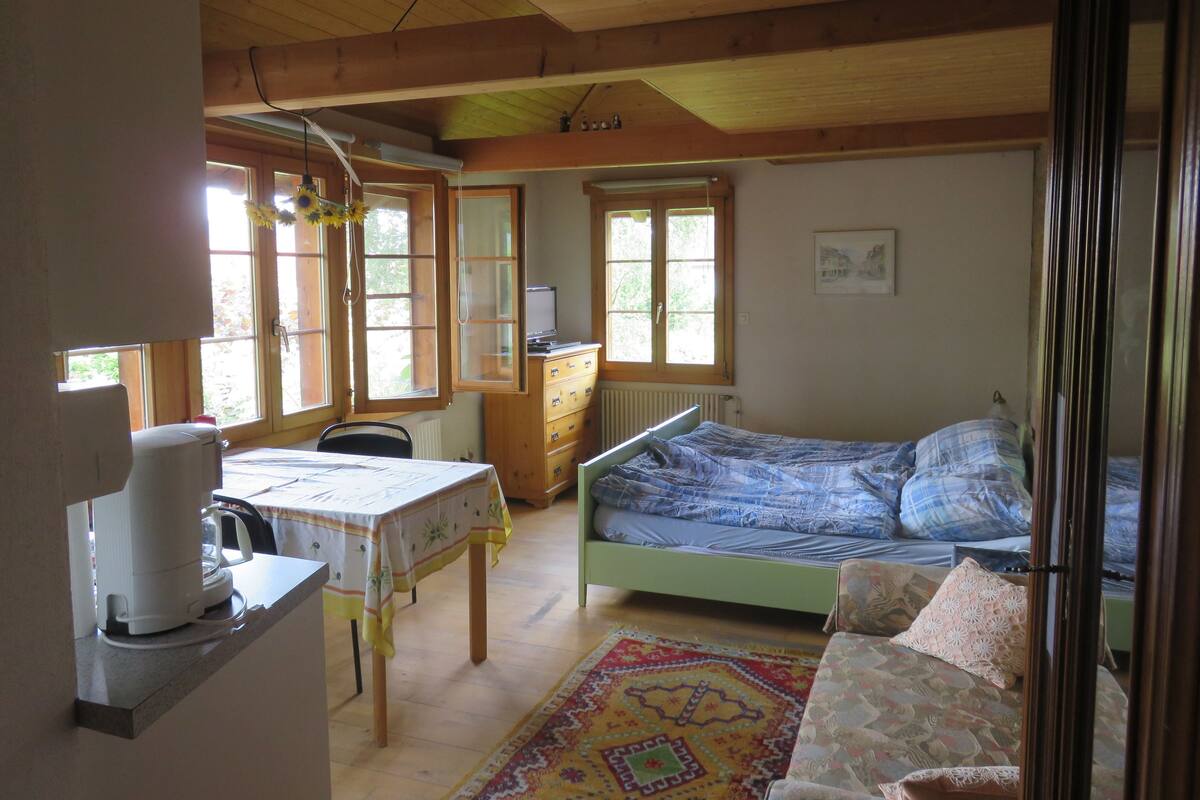 Un dormitorio con una cama, un escritorio con una silla, un radiador y una ventana.