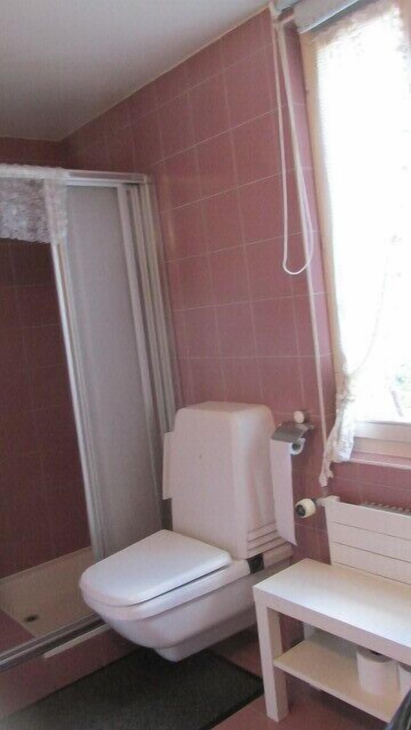 Une petite salle de bain avec des toilettes, un lavabo et une douche.