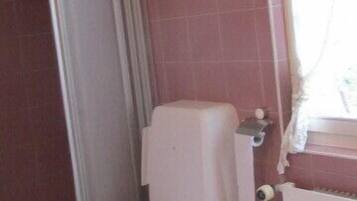 Une petite salle de bain avec des toilettes, un lavabo et une douche.