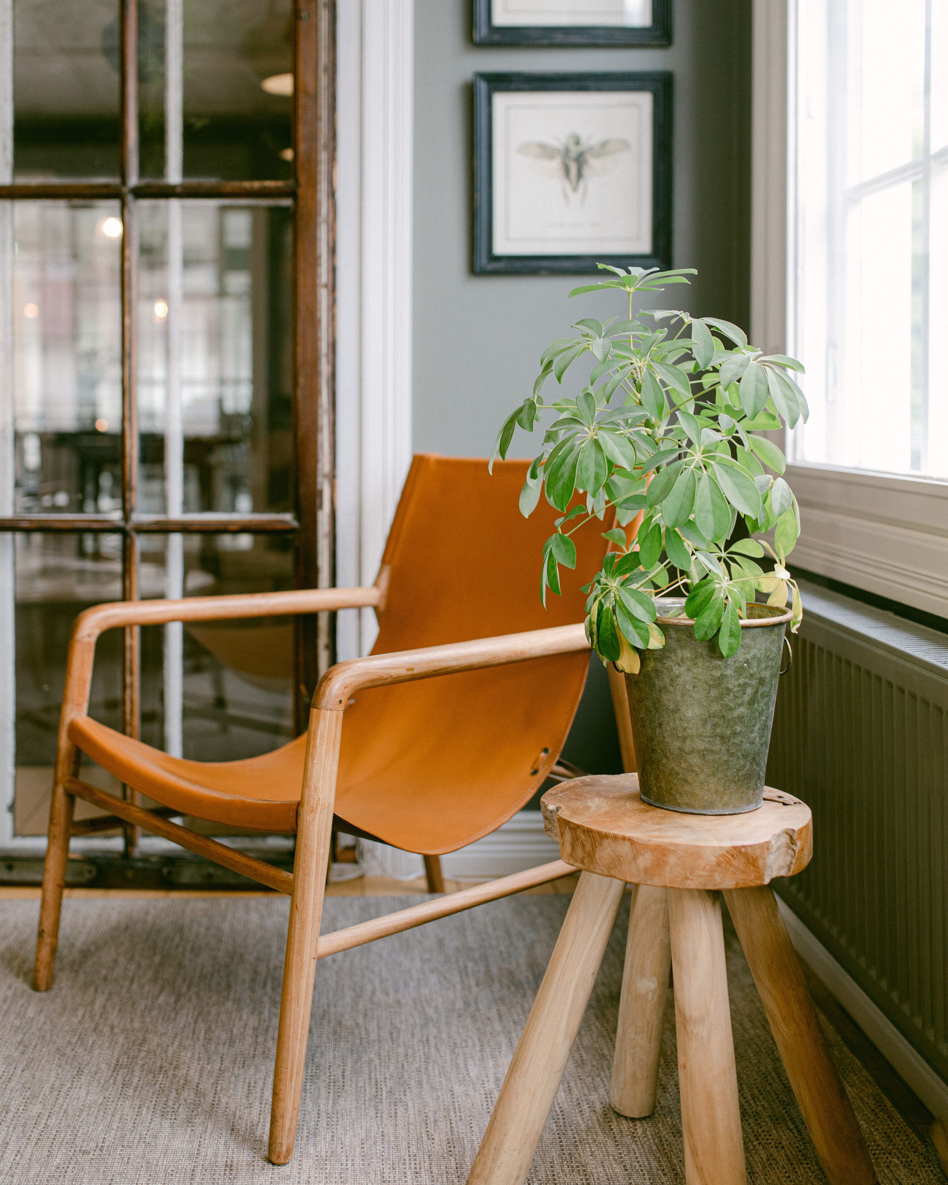 breakfast, lunch, dinner served; scandinavian cuisine, garden views