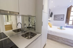 A modern kitchen with a built-in sink and a mirrored backsplash. - Besalamanca (Salamanca)
