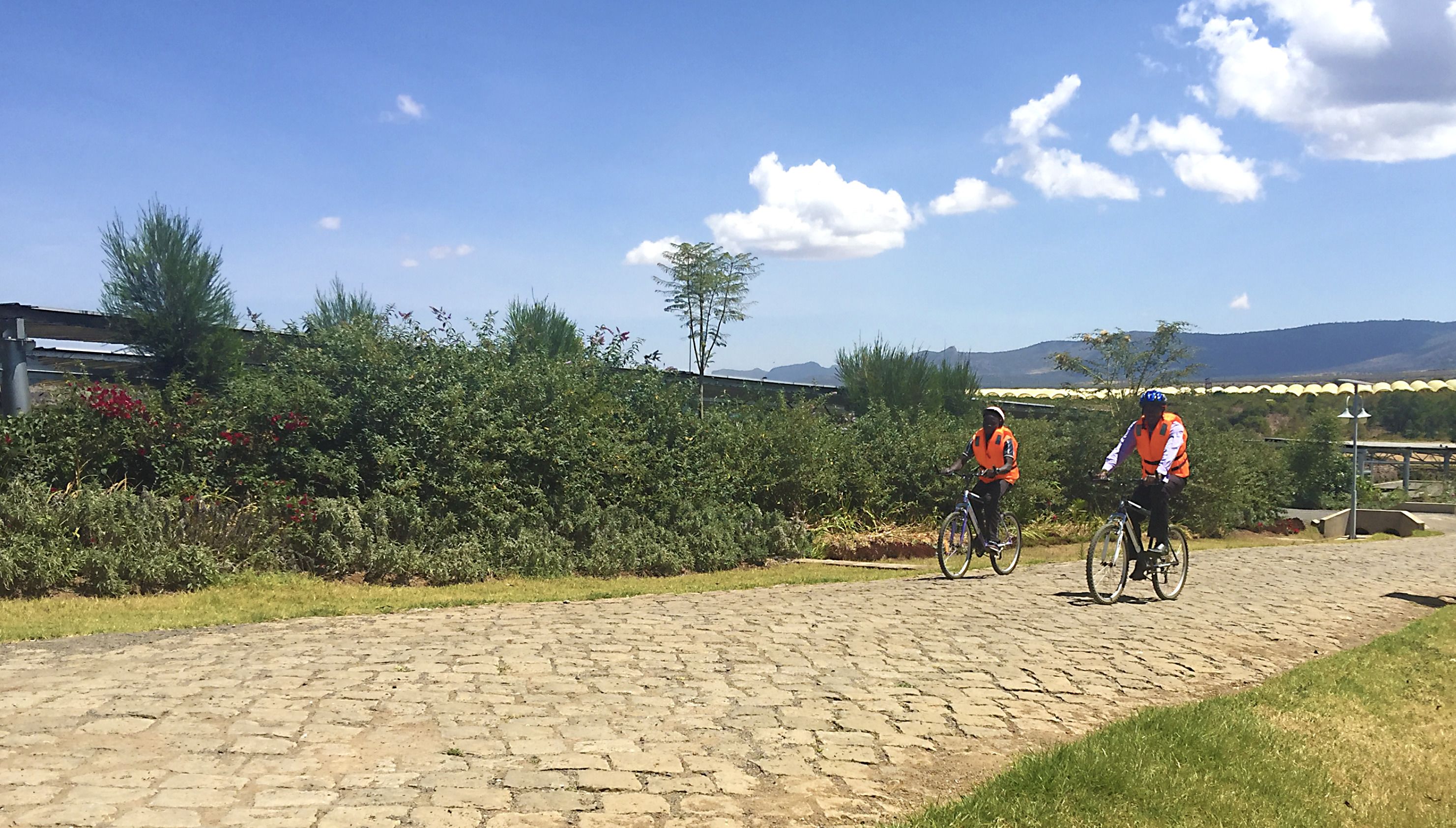 A cobblestone path with two cyclists in orange vests.