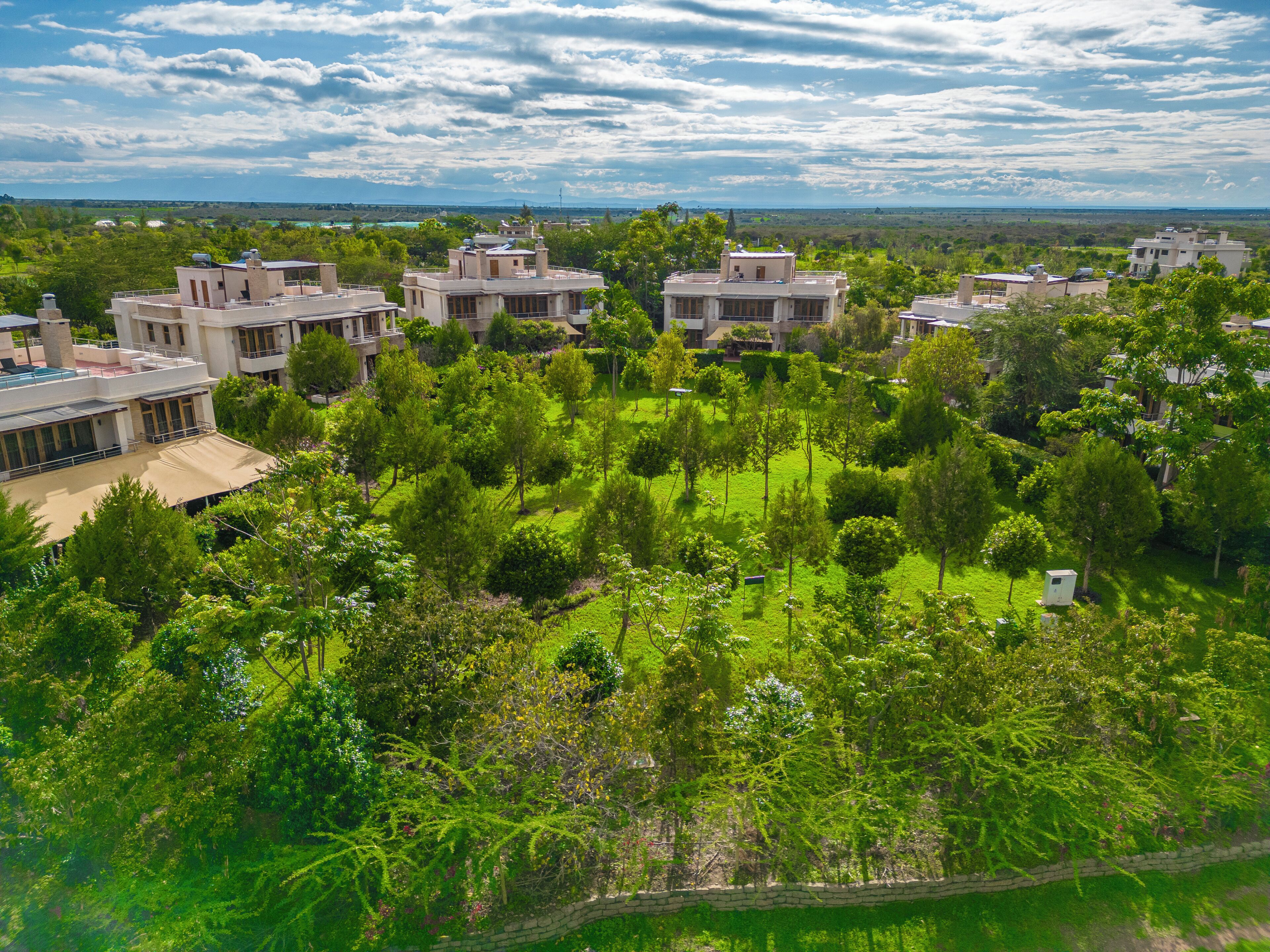 Zona residencial con varias casas, abundante vegetación y cielo despejado.