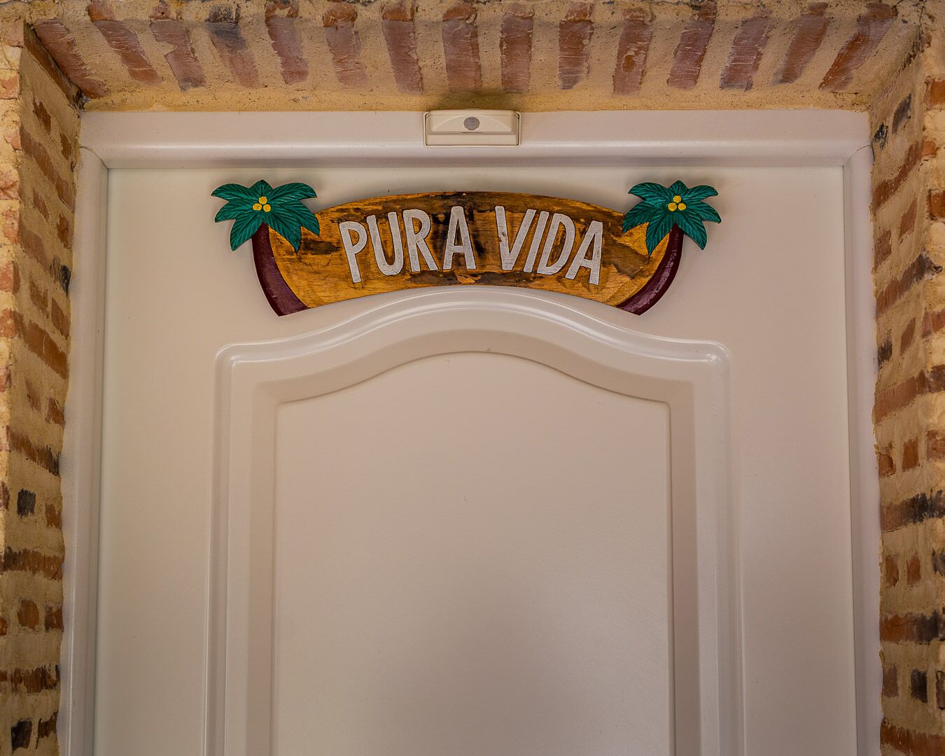 Una porta con un cartello che recita "PURA VIDA" decorata da elementi stilizzati di palma.