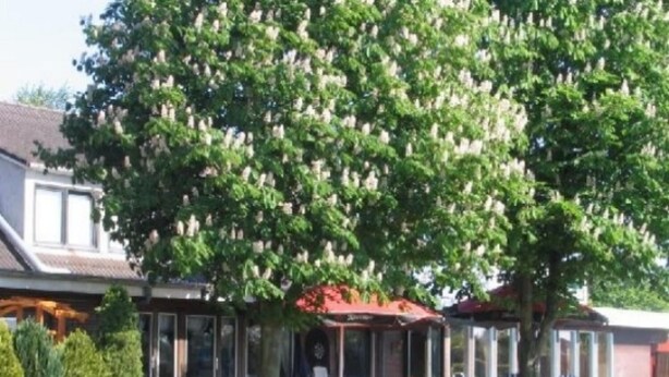 A residential property with a large tree, a wooden fence, and a covered outdoor seating area. - Landgasthaus Fecht (Aurich)