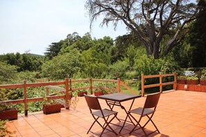 Terraza o patio