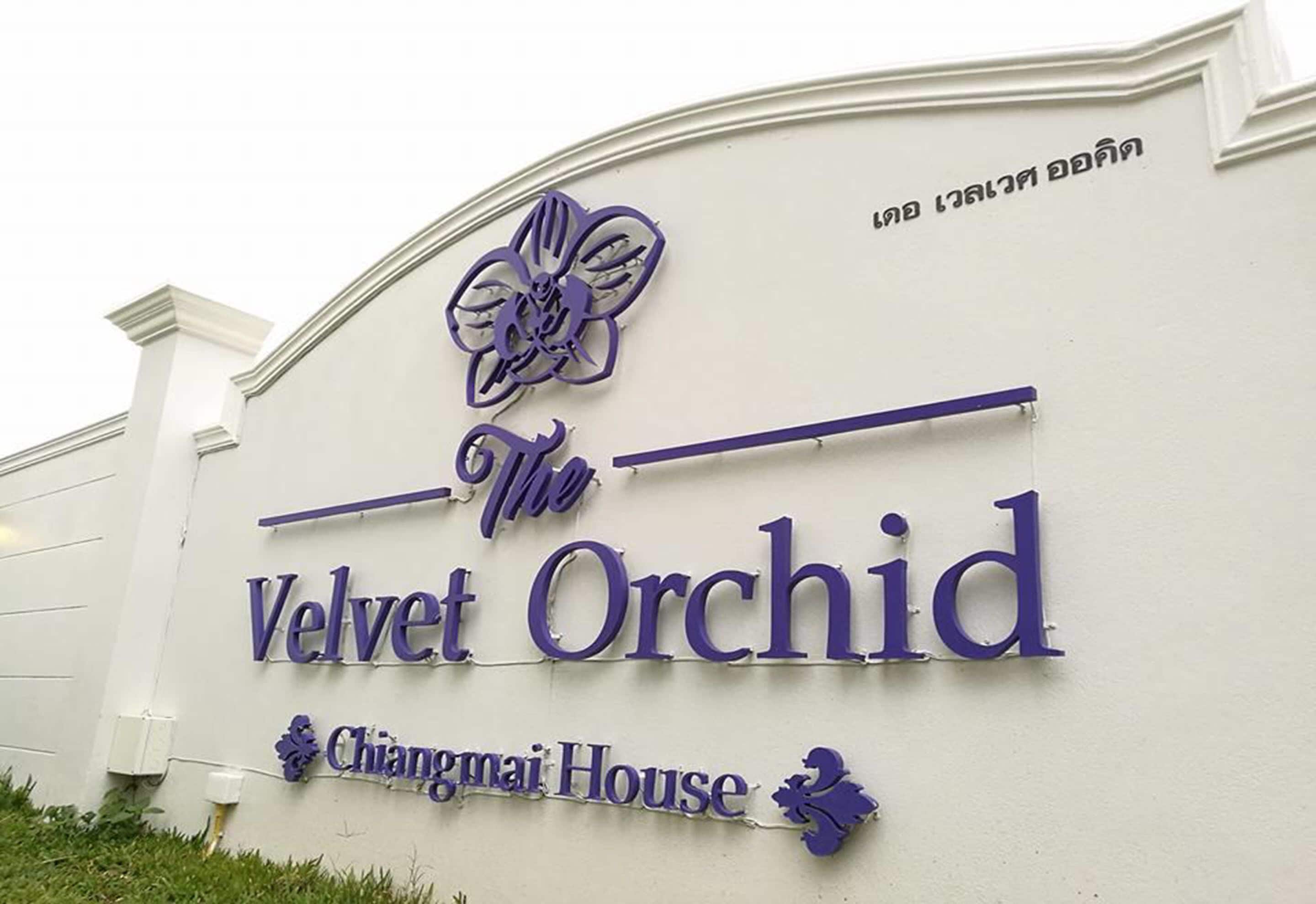 Foto - The Velvet Orchid