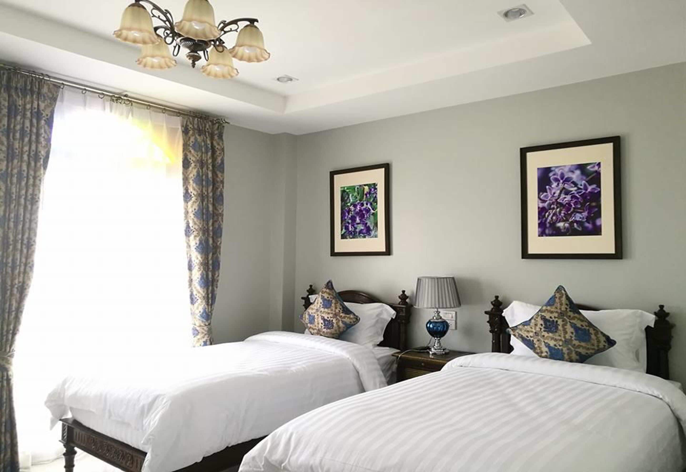 Foto - The Velvet Orchid