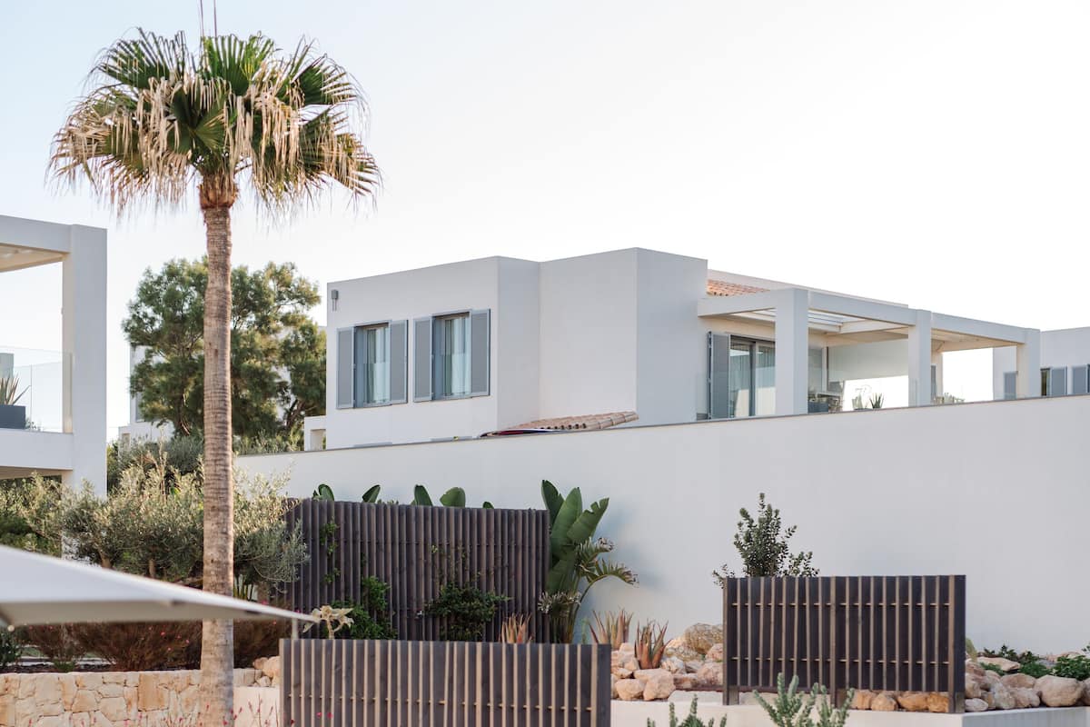 Un área de piscina moderna al aire libre con un deck de piedra, rodeada de diversas plantas y una palmera.