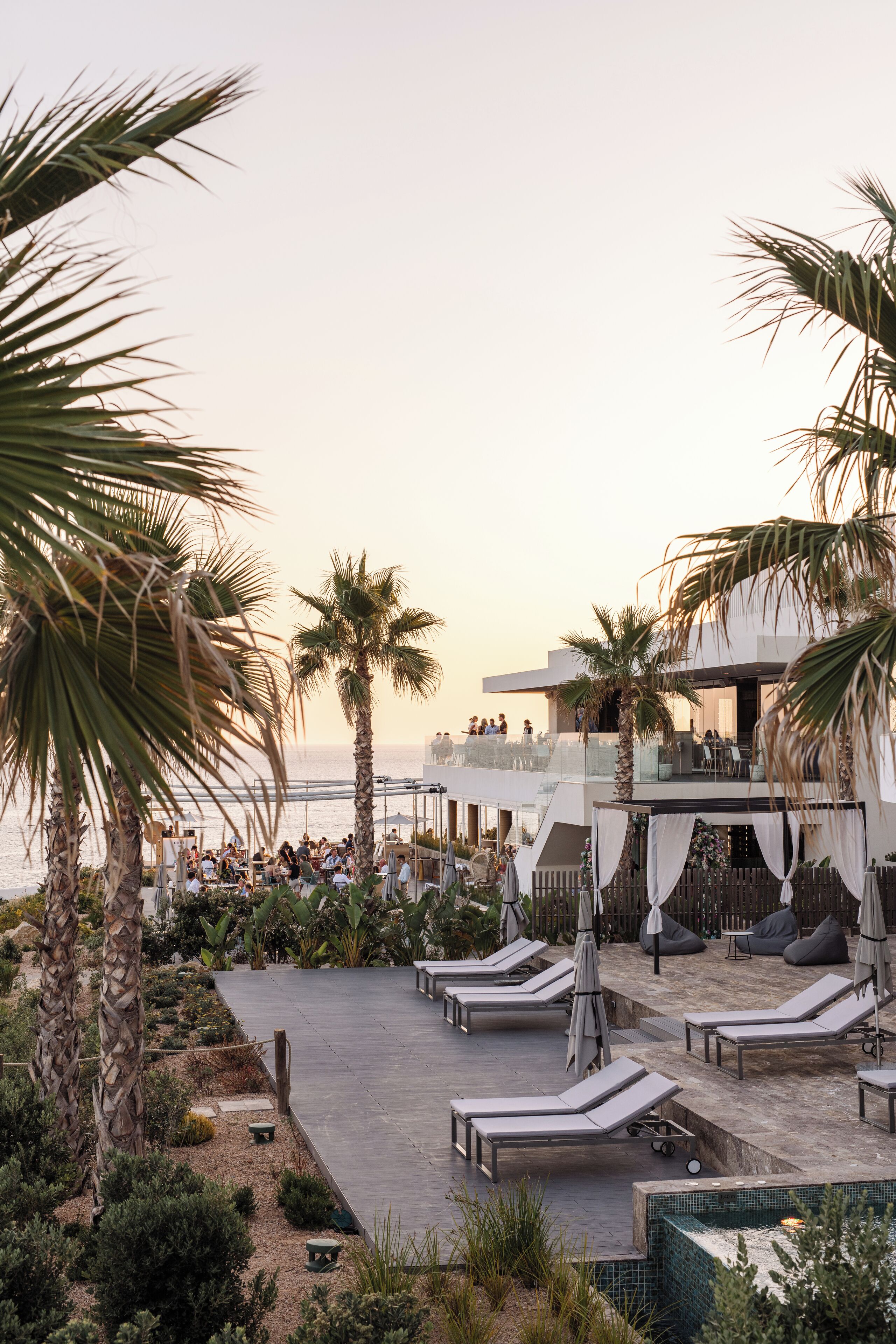 A rooftop bar with lounge chairs and palm trees, overlooking the sea.
