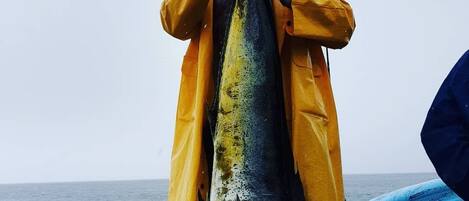 釣魚