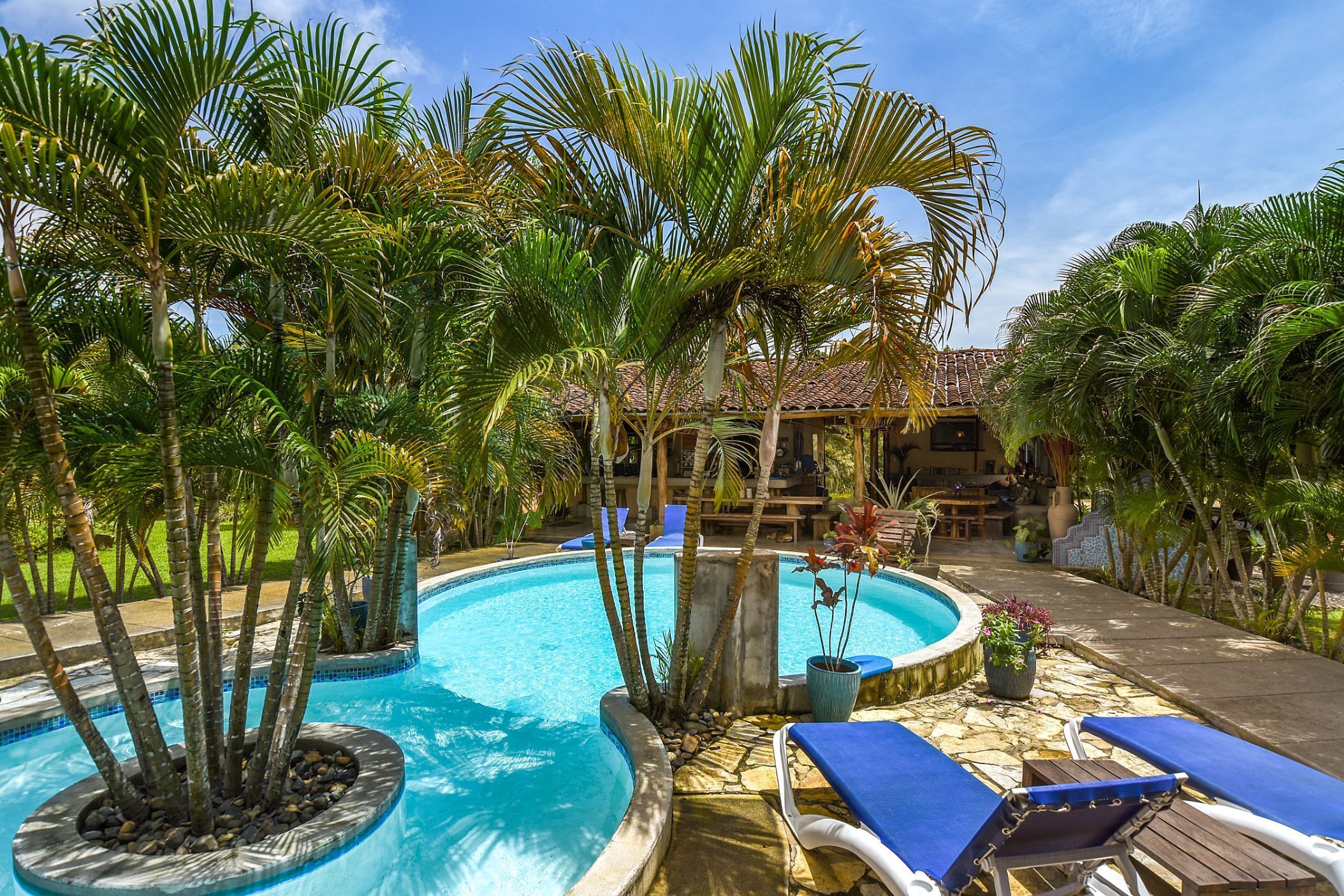 A pool surrounded by palm trees and lounge chairs.