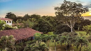 Área da propriedade