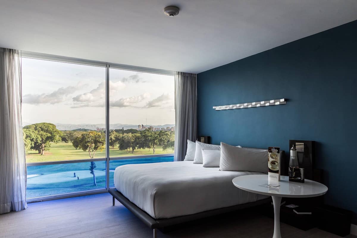 Standard Room, 1 King Bed, Non Smoking, Golf View