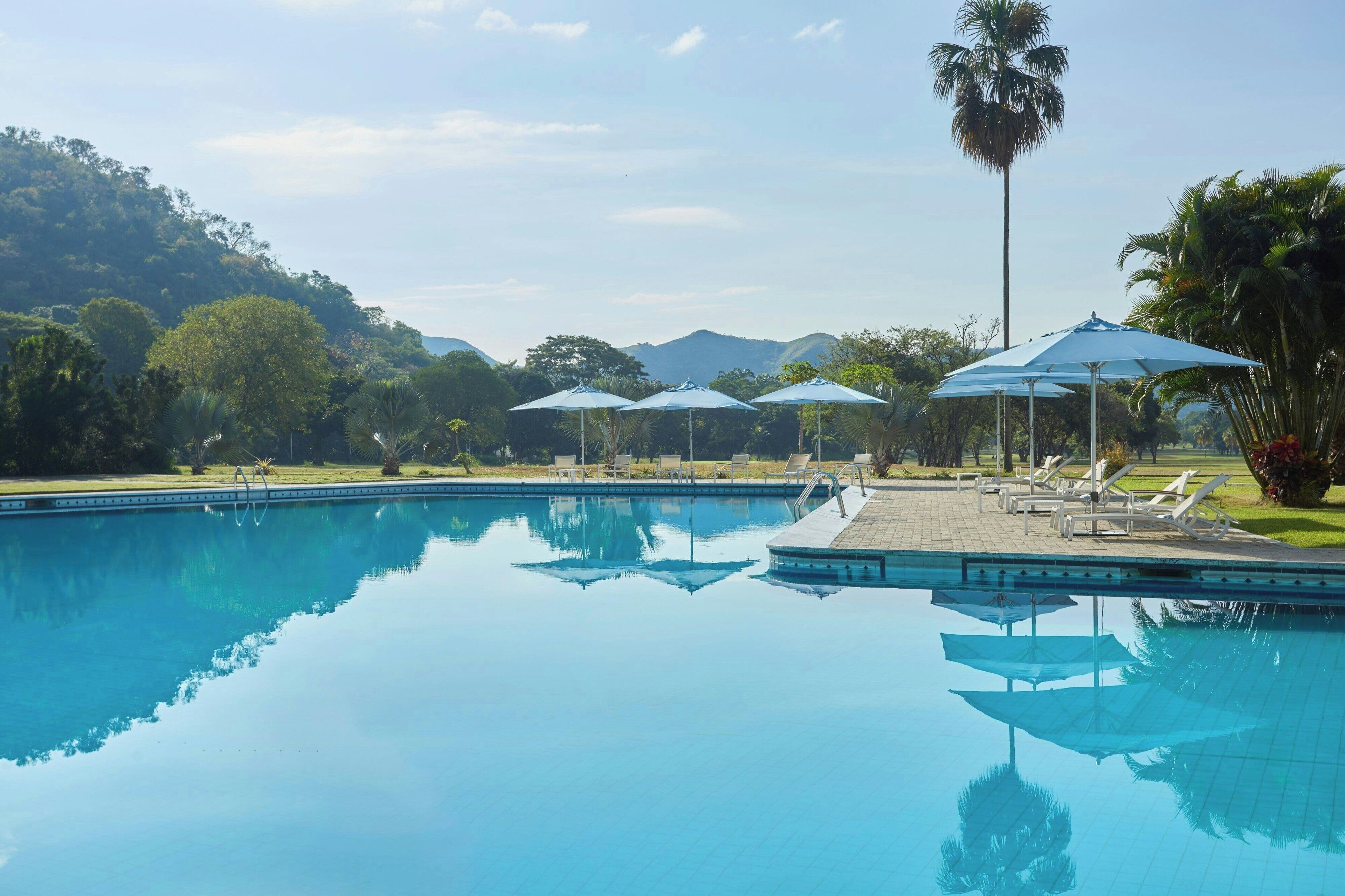 A clear swimming pool with lounge chairs and umbrellas, surrounded by greenery and palm trees.