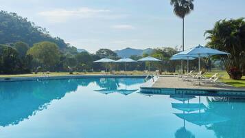 A clear swimming pool with lounge chairs and umbrellas, surrounded by greenery and palm trees.