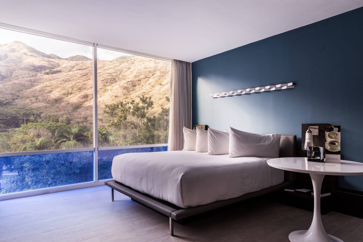 Standard Room, 1 King Bed, Park View