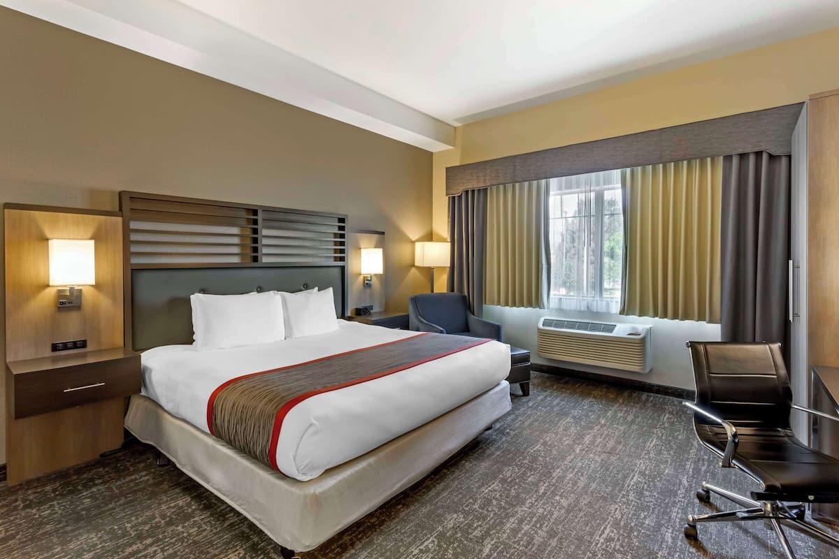 Pillow-top beds, desk, blackout curtains, iron/ironing board