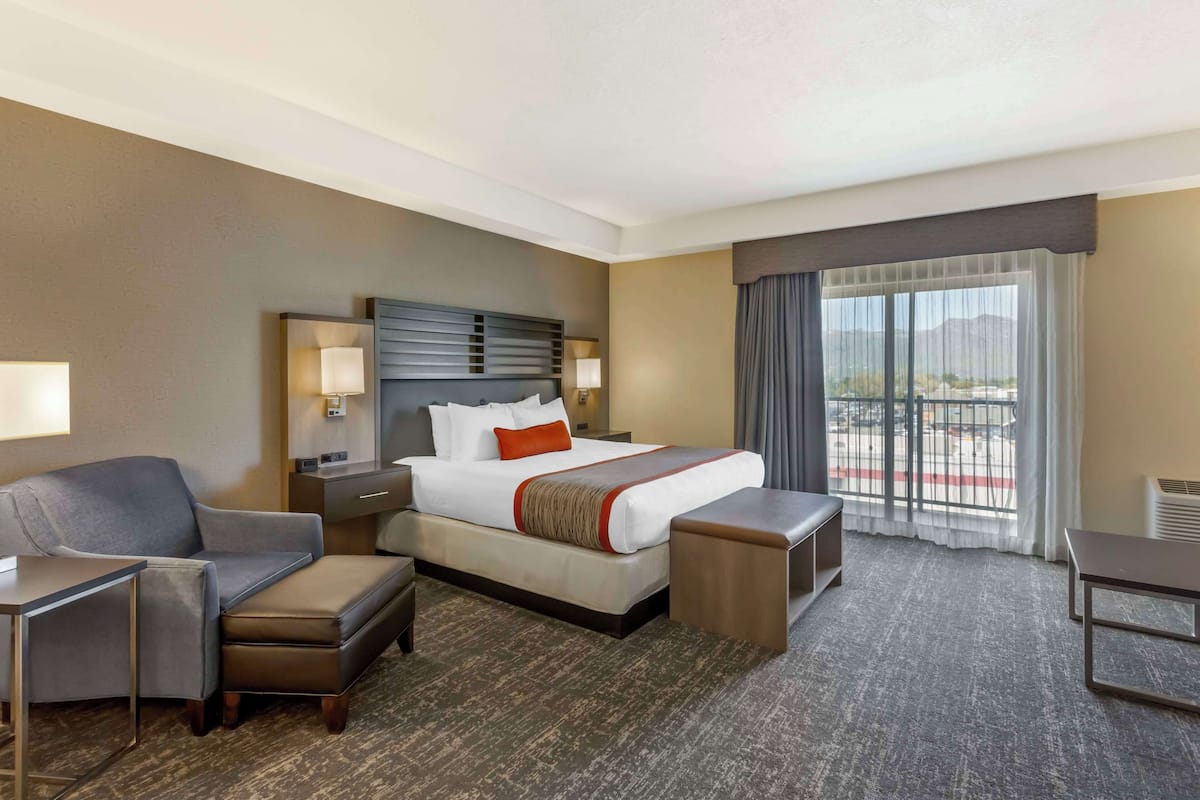 A hotel room with a bed, a desk, a chair, and a sofa.