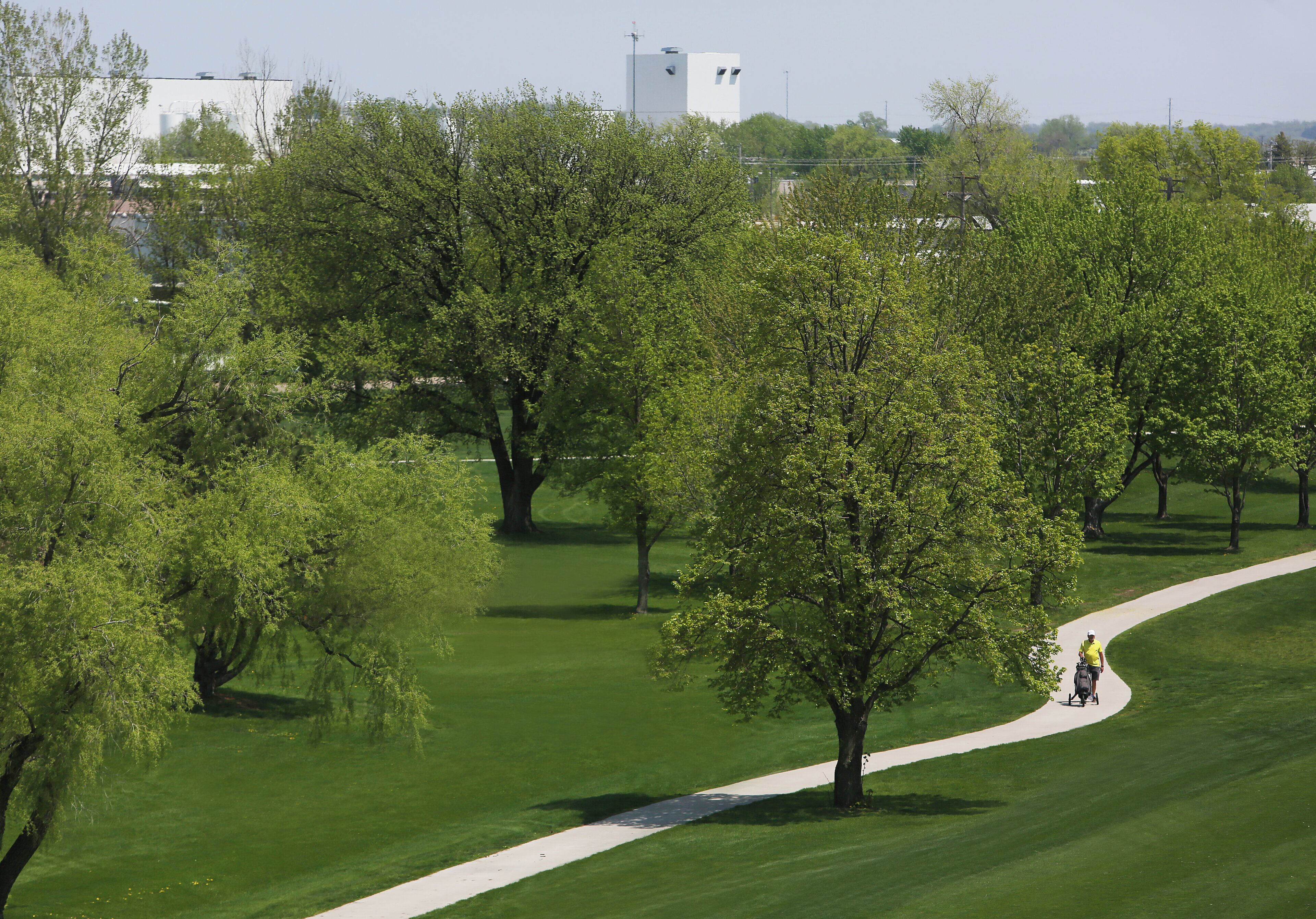 A park with a walking path, trees, and a distant building.