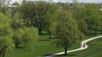 A park with a walking path, trees, and a distant building.