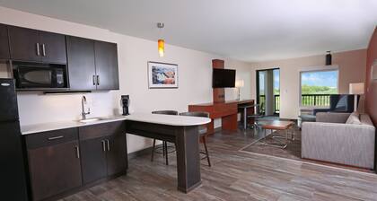 Holiday Inn & Suites Sioux Falls - Airport by IHG
