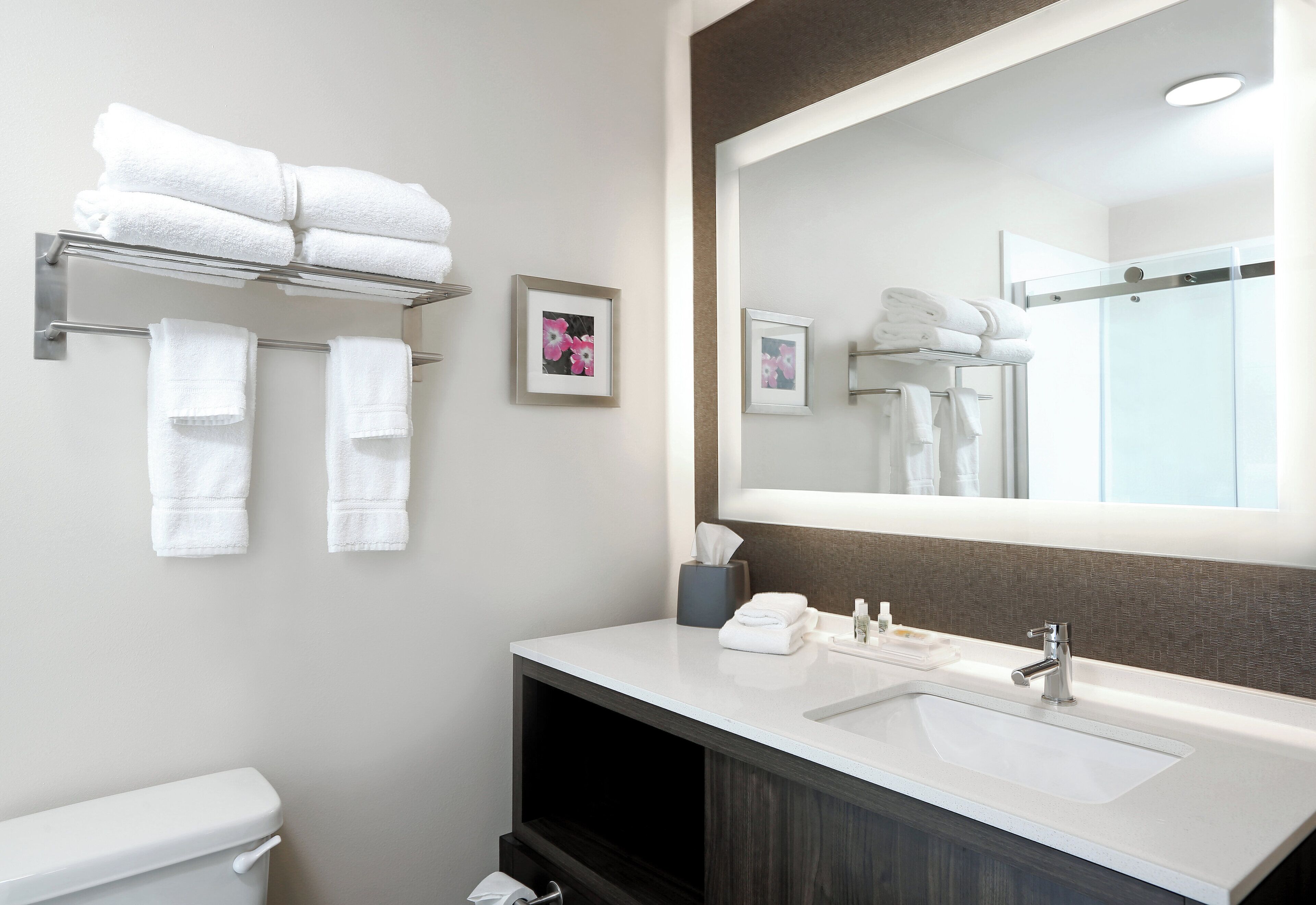 Combined shower/tub, free toiletries, hair dryer, towels